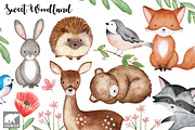 Woodland Animals Clip Art, an Animal Illustration by Roodi and Bear (Thumbnail 1 of 2)