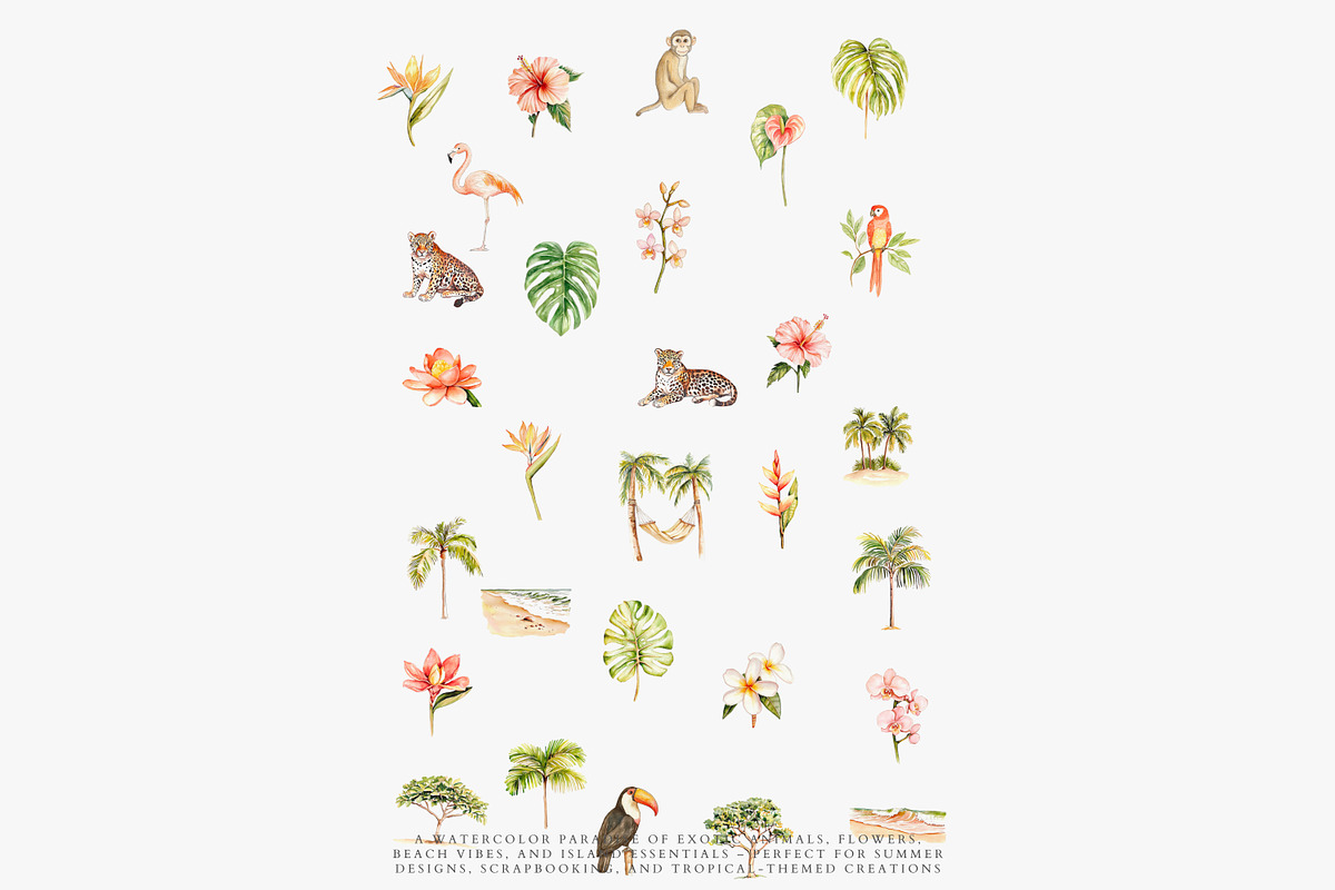 Watercolor tropical clipart set, a Decorative Illustration by Patishop Art (Photo 10 of 10)