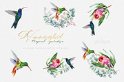 Hummingbird Birds Collection, an Illustration by ReachDreams (Thumbnail 3 of 5)
