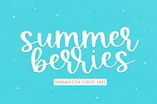 Summer Berries | Fun Script Font
