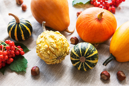 A rustic autumn still life with pumpkins, a Food & Drink Photo by Olena Rudo