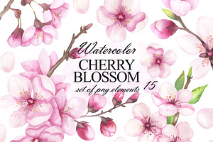 Cherry blossom watercolor clipart, an Illustration by OlDm_Shop
