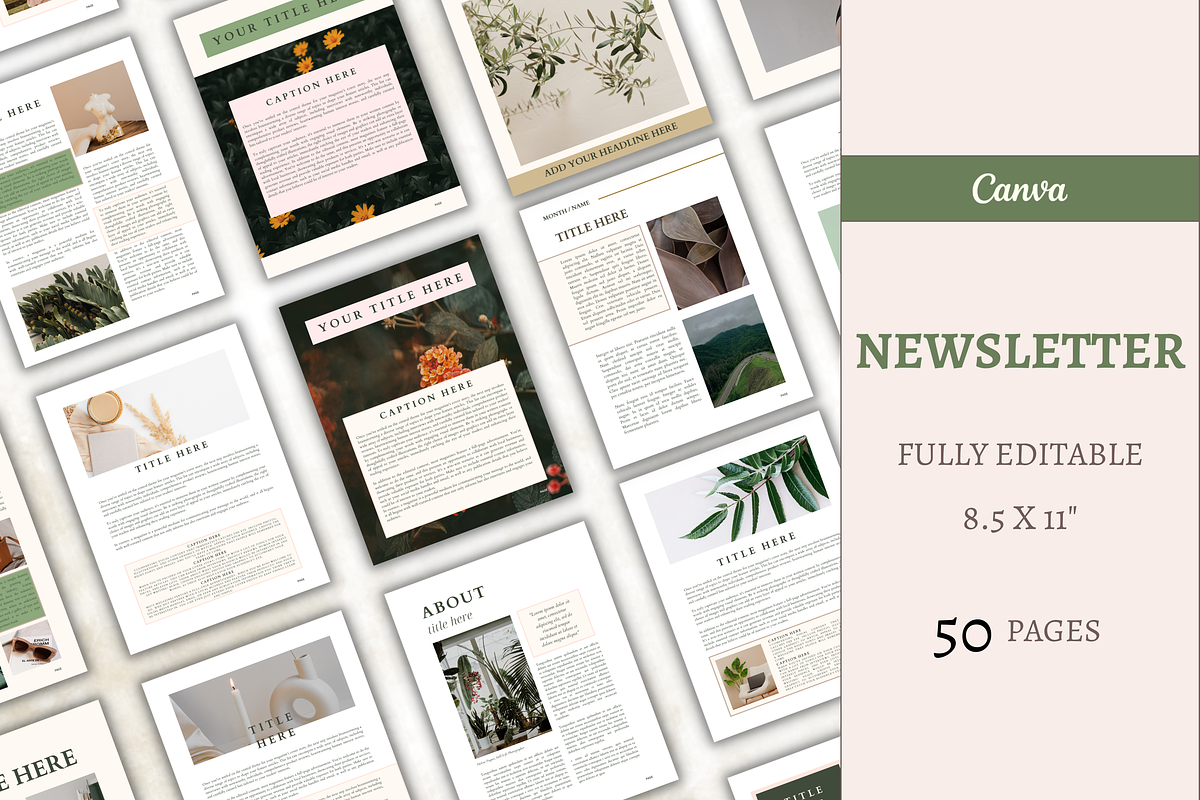 Newsletter Coaching Template, an Email Template by Digital By Nikoleta (Photo 1 of 11)