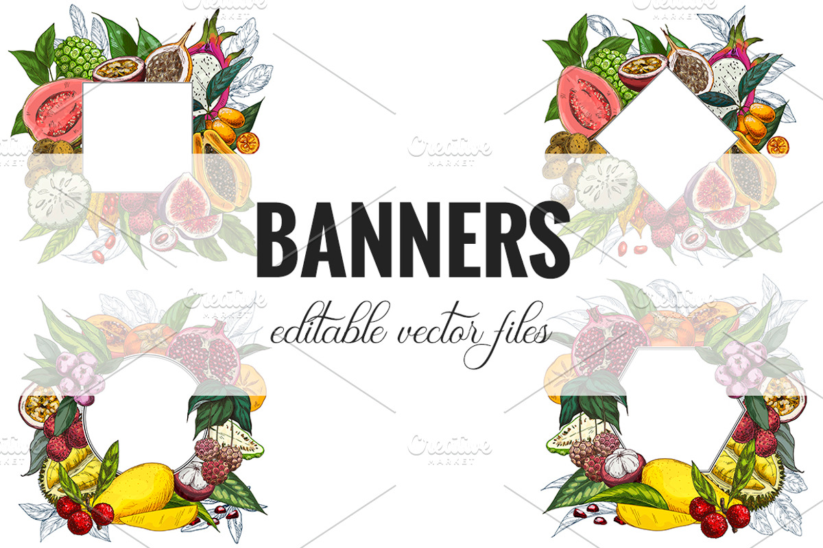 Exotic fruits. Vector collection., a Healthcare Illustration by JSolomatina (Photo 7 of 9)