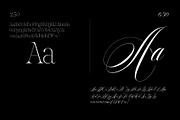Reichamerina font family, a Serif Font by Ryul Davidson (Thumbnail 12 of 27)