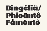Bermia Display Font, a Sans Serif Font by Yukita Creative (Thumbnail 5 of 9)