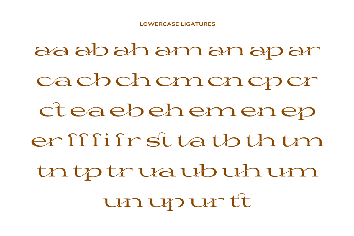 Yasiroh - Modern Serif Font, a Serif Font by Sronstudio (Photo 4 of 19)