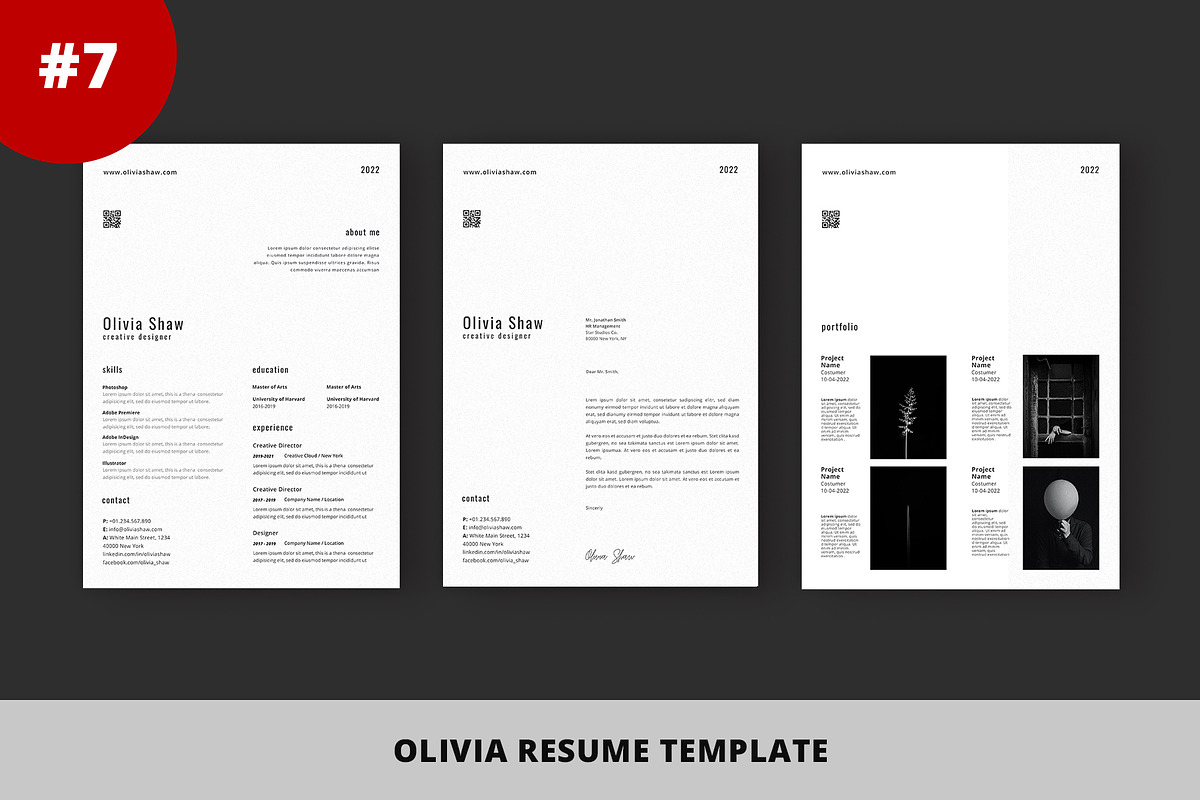 Resume Template Bundle - Vol 04, a Resume Template by Nina Shaw (Photo 8 of 12)