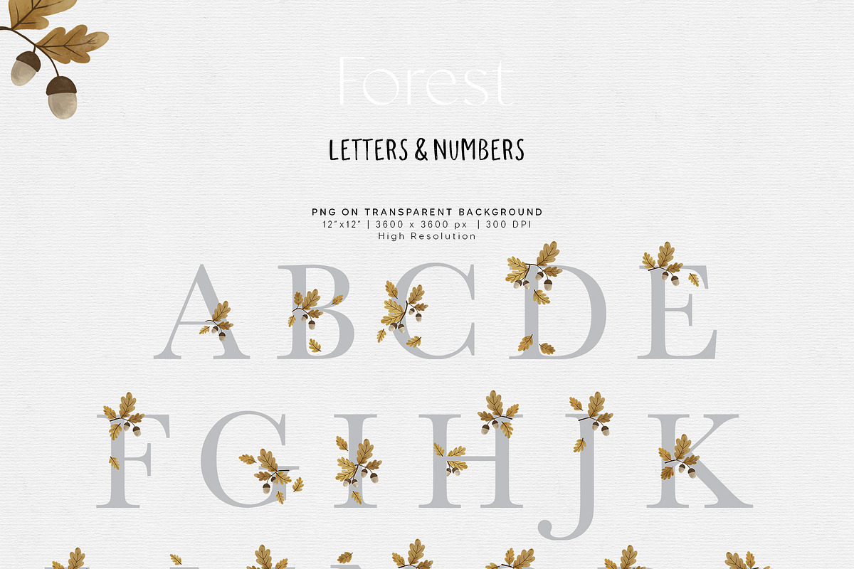 Forest animals. Alphabet & Patterns, an Animal Illustration by annartdreams (Photo 7 of 11)