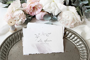 Linger - Fine Art Florals & Textures, a Texture Illustration by Greta Ivy (Thumbnail 5 of 9)