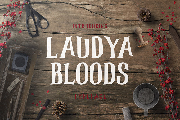 Laudya Bloods preview 7