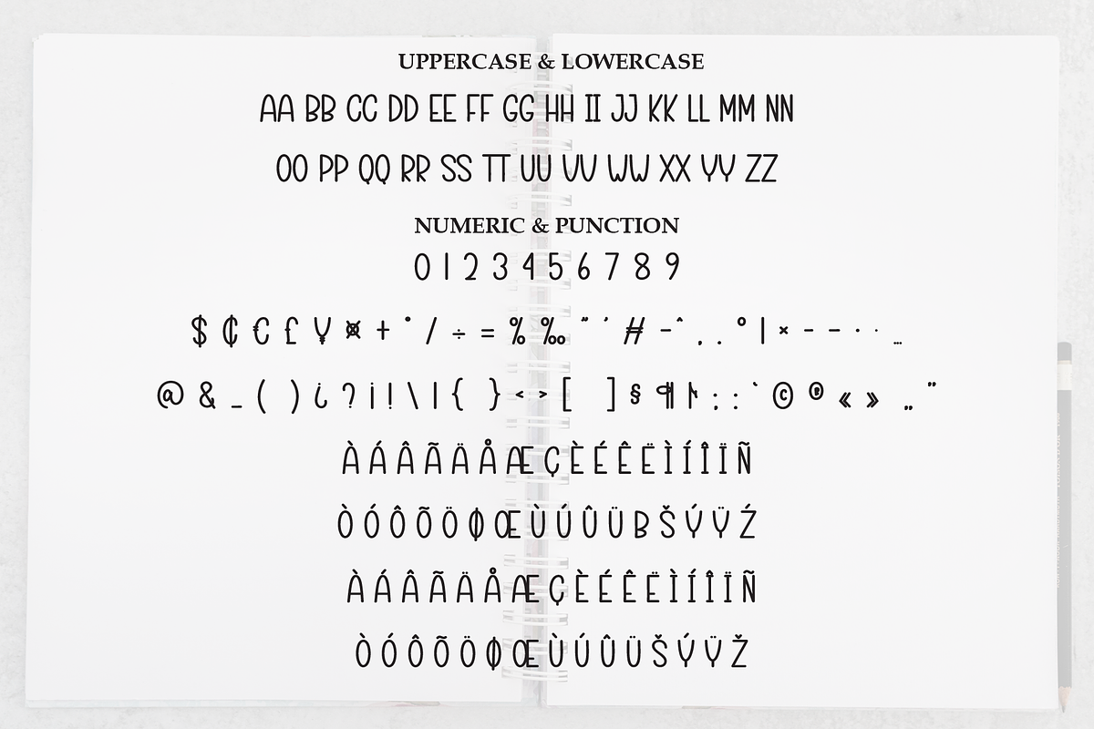 Notebook | Script Font, a Script Font by Scratchones (Photo 7 of 8)
