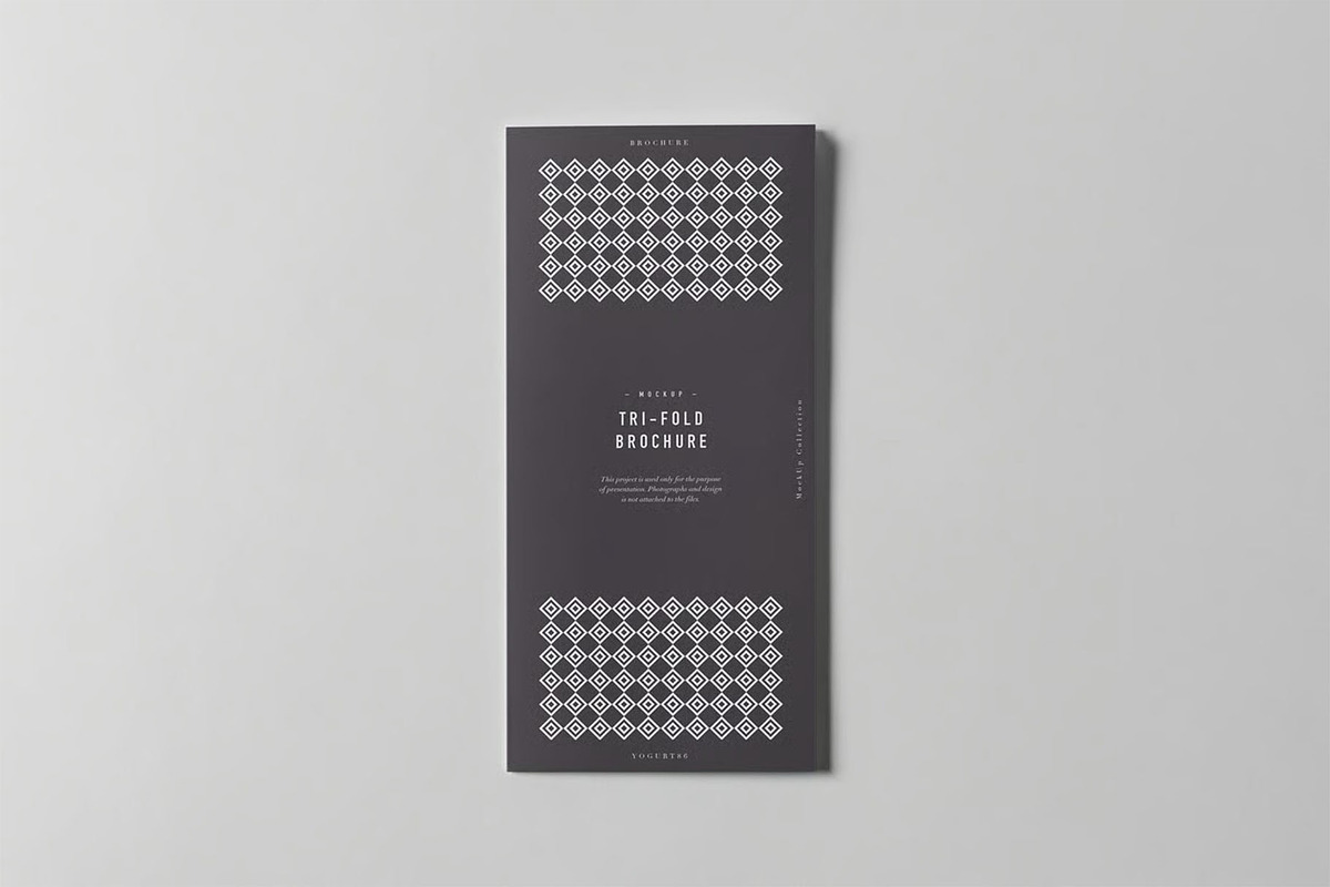 Tri-Fold DL Brochure Mock-up, an Advertising Mockup by zippypixelstudio (Photo 4 of 11)