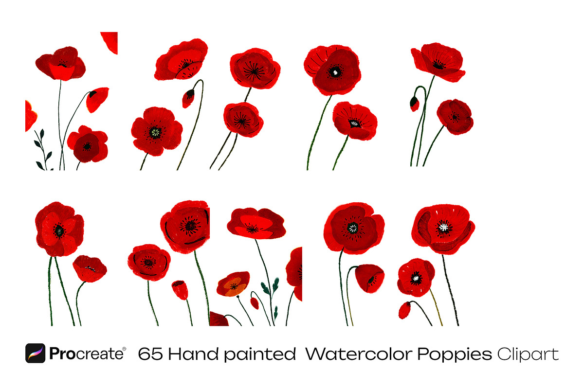 Watercolor Poppy Flowers, a Decorative Illustration by crafty (Photo 6 of 11)