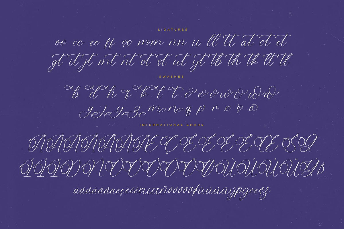 Belati Sophia Modern Beauty Script, a Script Font by Letterena Studios Script (Photo 14 of 15)