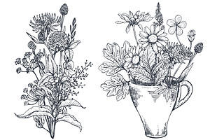 Herbs And Wildflowers