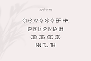 Qeghina and Co, a Sans Serif Font by Sofia Skoog (Thumbnail 7 of 10)