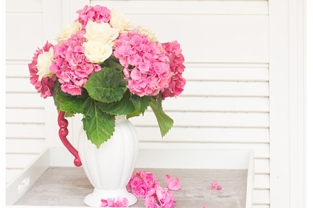 pink hortensia flowers, a Nature Photo by Neirfy