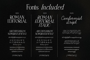 Roman Editorial Aesthetic Script