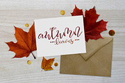 Squirrel Script, a Script Font by maria.fernandez (Thumbnail 3 of 6)