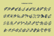 FLORAVIAN - Extra Illustrations, a Sans Serif Font by Blazing Sun Creative (Thumbnail 6 of 7)