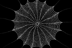 Spider Web Backgrounds