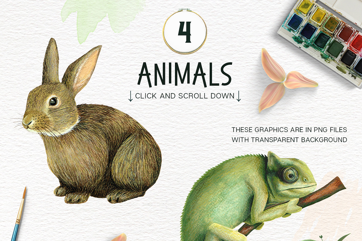 Cacti and Animals - Design Kit, an Animal Illustration by Lisa's Balcony (Photo 2 of 8)