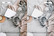 Lightroom Presets Grey, an Action Add-On by Best Lightroom Presets (Thumbnail 7 of 19)
