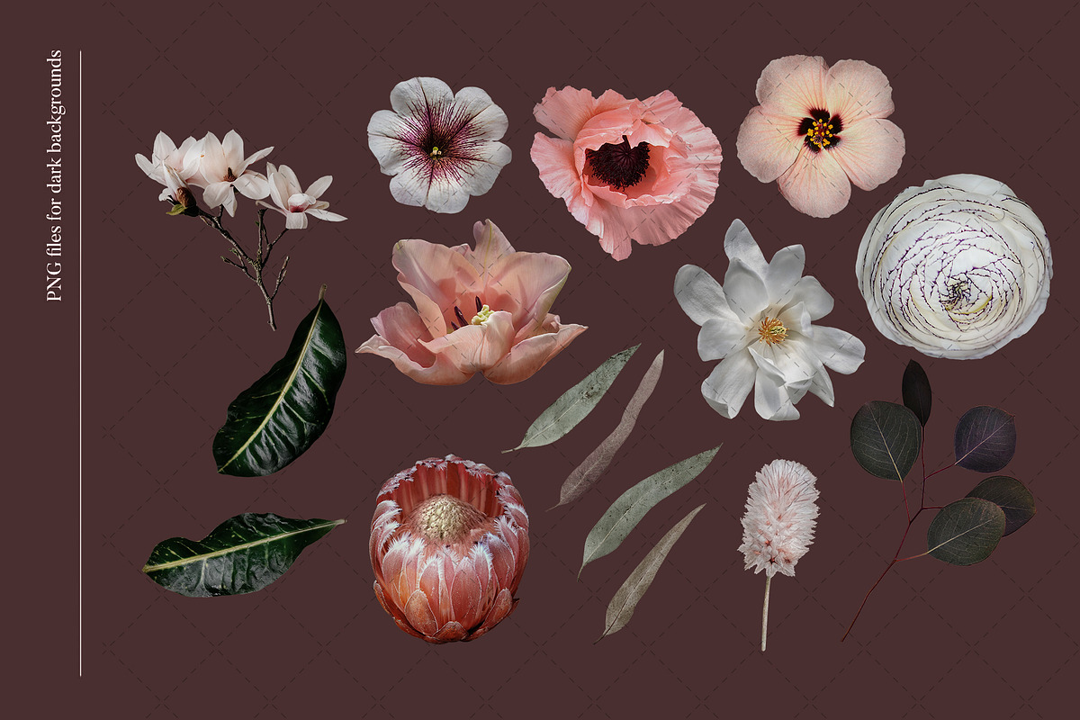 Isolated real flowers clipart set, an Object Graphic by The Graphic Parade (Photo 5 of 14)