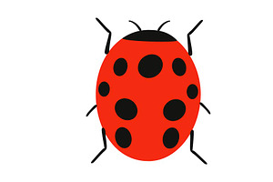 Ladybug Illustration