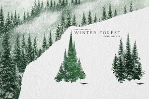 Winter Forest Box For Procreate