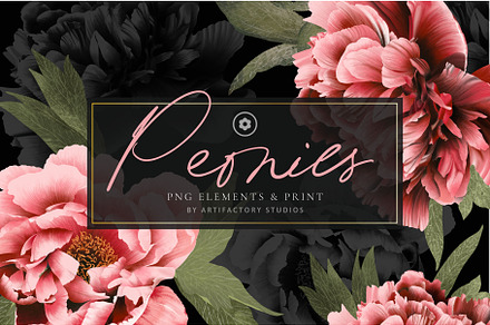 Peonies PNG Elements & Pattern