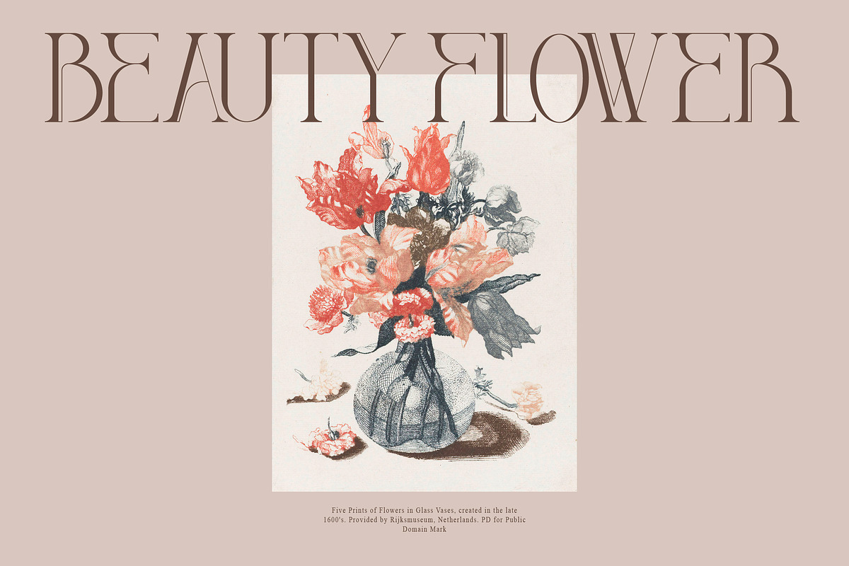 DIEGO Modern Serif Font Display, a Serif Font by Storytype Studio (Photo 8 of 15)