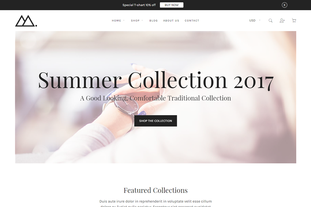Minimalist eCommerce Shopify Theme, a Shopify Template by HasThemes (Photo 1 of 3)