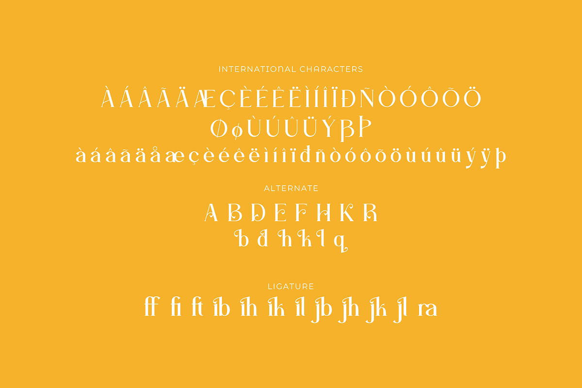 Bravillie - Serif Typeface Font, a Serif Font by Rishsketch (Photo 14 of 15)