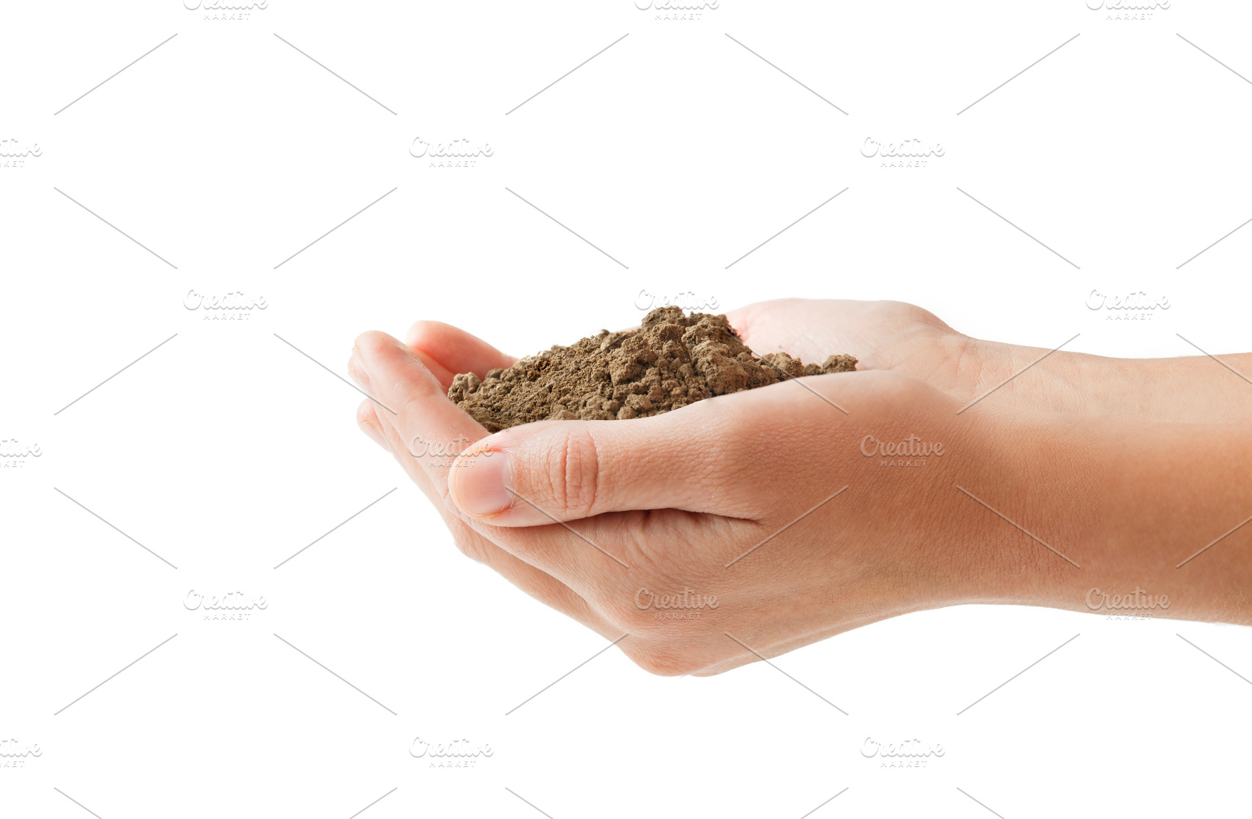 Woman hand isolated and seedling on, a Background Photo by OleksandrRybitskyi