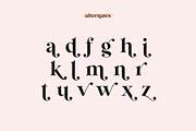 Wild Mango | Modern Serif Font, a Serif Font by KA Designs (Thumbnail 24 of 24)