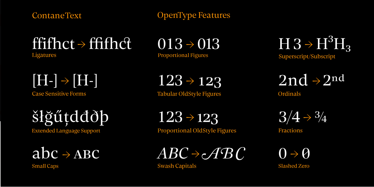 Contane Text, a Serif Font by Hoftype (Photo 7 of 12)