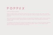 Poppex - Playful Serif Font, a Serif Font by CapeTypeFonts (Thumbnail 6 of 6)