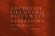 Gandis Elegant Serif Font, a Serif Font by Elegant Font (Thumbnail 7 of 8)