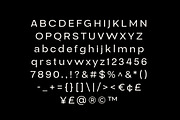 Sraben Grotesk font family, a Sans Serif Font by Yukita Creative (Thumbnail 10 of 12)