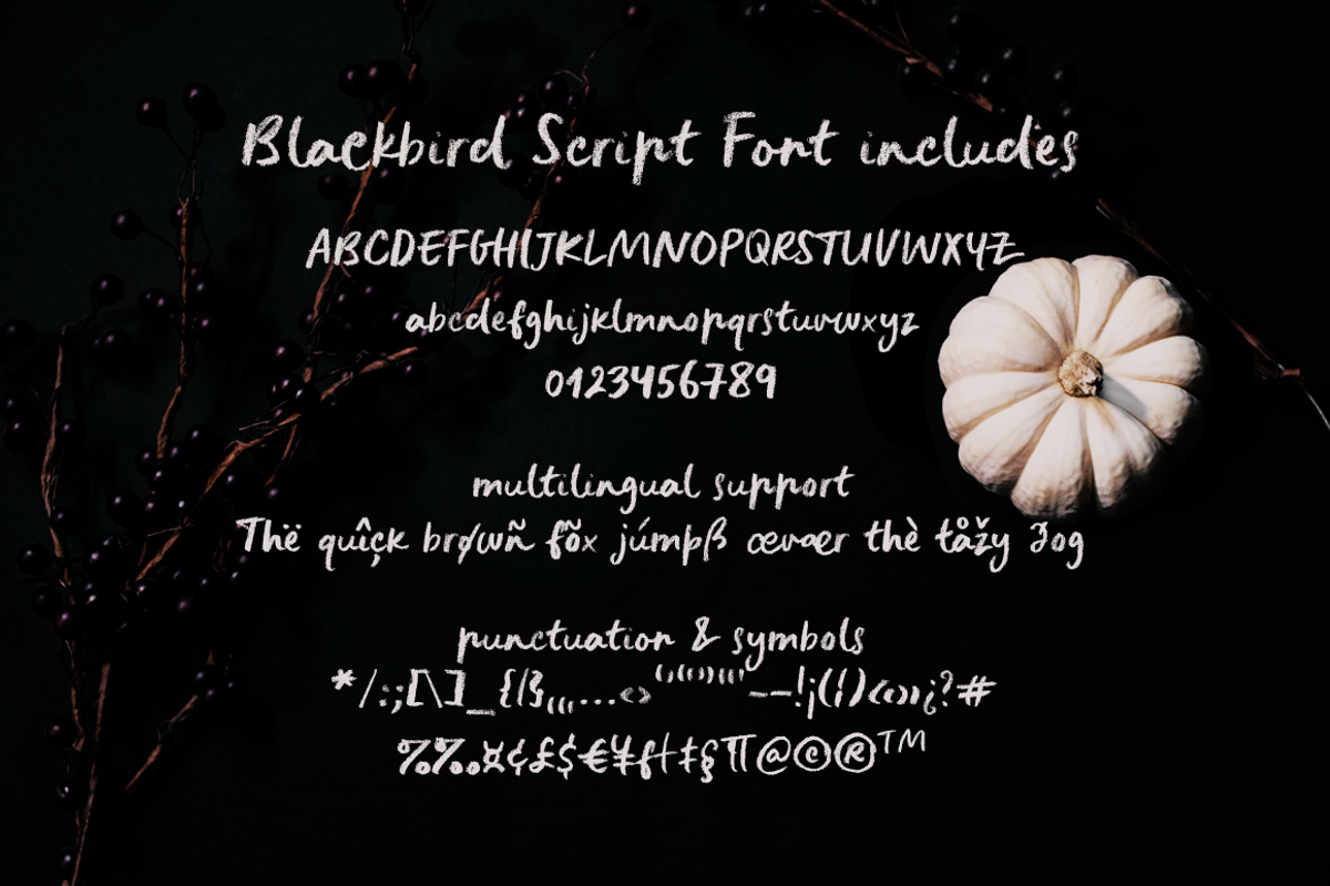 Blackbird crayon script SVG font, a Script Font by Ana's Fonts (Photo 2 of 9)