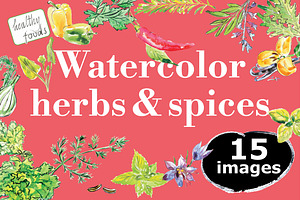 Watercolor herbs & spices collection