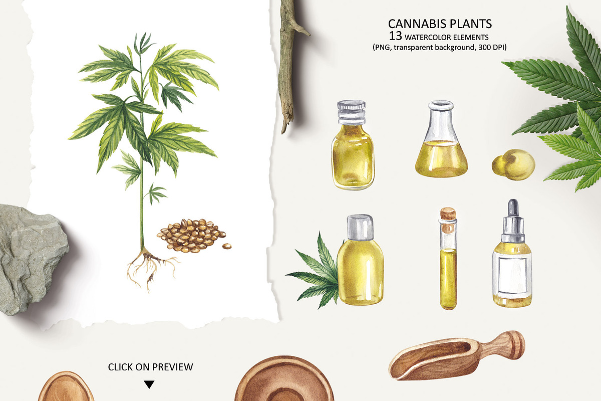 CANNABIS / MARIJUANA BUNDLE, a Decorative Illustration by Elena_Sedova (Photo 4 of 30)