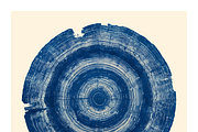 Natt Collection · Organic Tree Rings, a Texture Illustration by milatovar (Thumbnail 8 of 19)