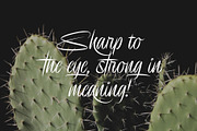 Delion | Signature Font, a Script Font by Lemonthe (Thumbnail 9 of 10)