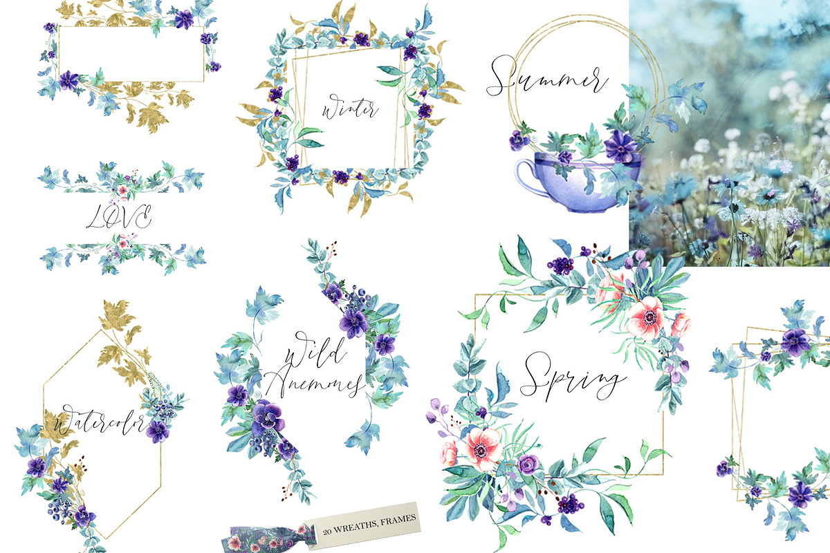 WILD ANEMONES, a Decorative Illustration by JennyColorArt (Photo 4 of 12)