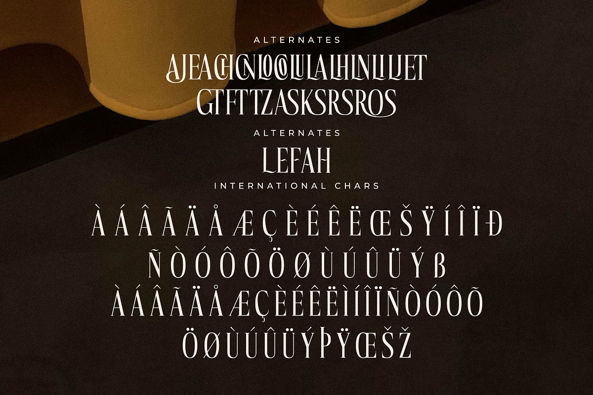 Mocnetla Display Serif Font, a Serif Font by Storytype Studio (Photo 14 of 15)