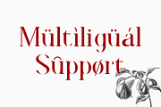Faradize - Elegant Serif Font, a Serif Font by RockboyStd (Thumbnail 9 of 12)