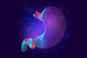 Vector set of human inner organs, a Healthcare Illustration by Rodionoff (Thumbnail 7 of 7)